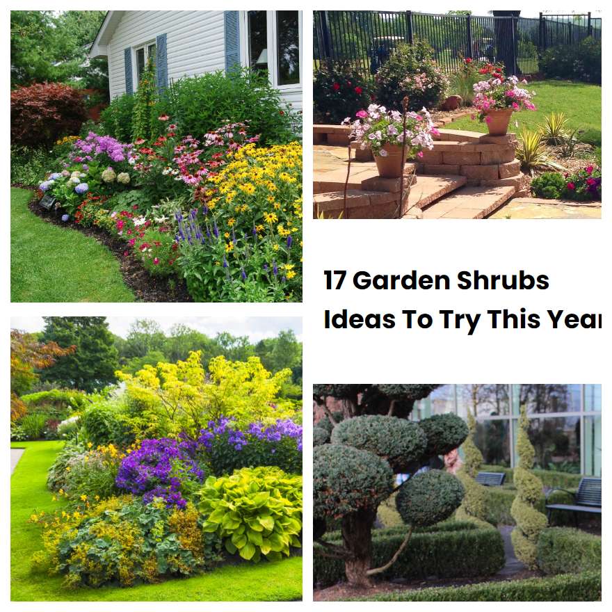 17 Garden Shrubs Ideas To Try This Year