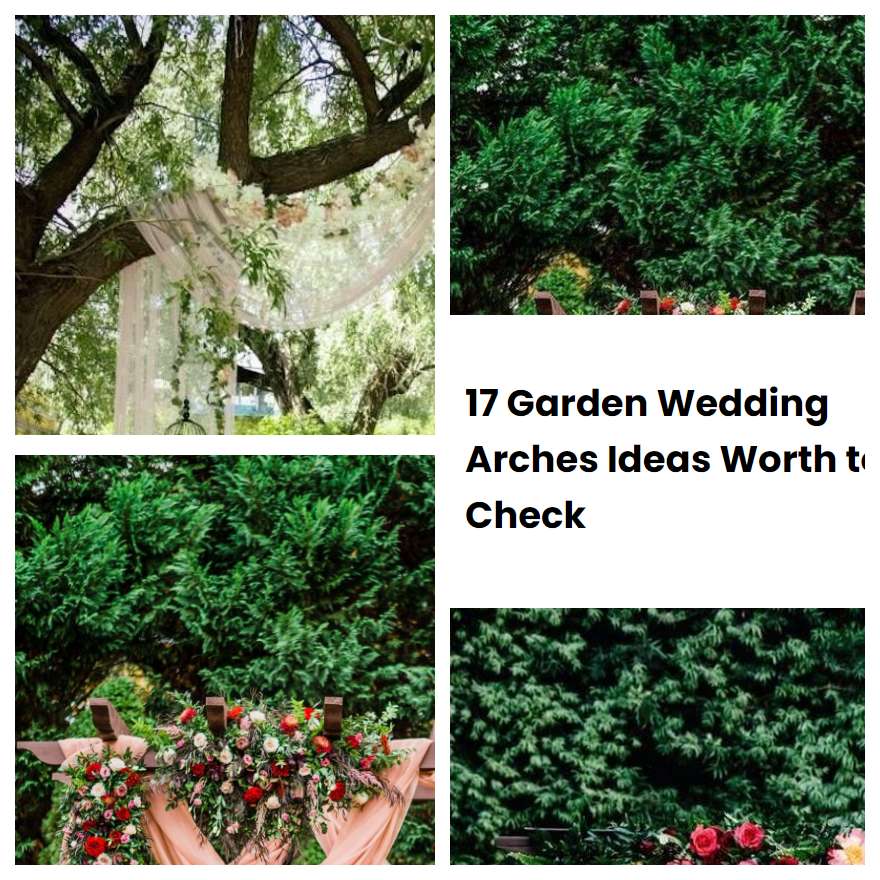 17 Garden Wedding Arches Ideas Worth to Check