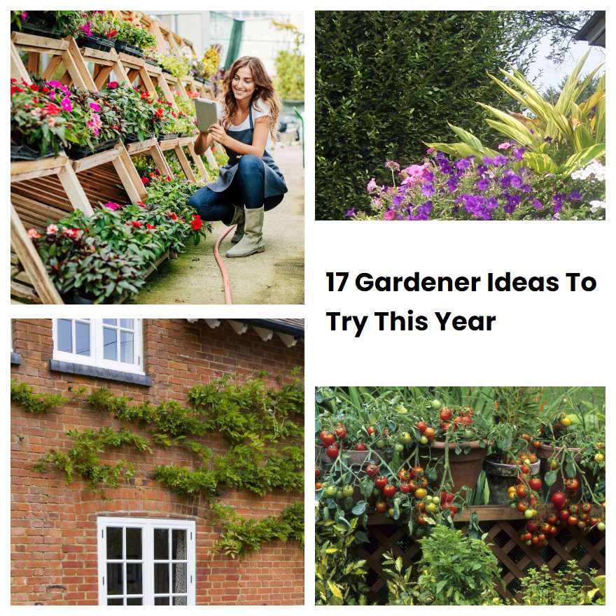 17 Gardener Ideas To Try This Year