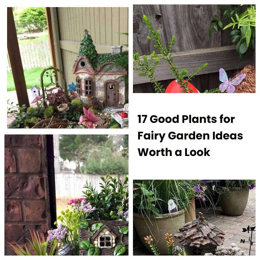 17 Good Plants for Fairy Garden Ideas Worth a Look