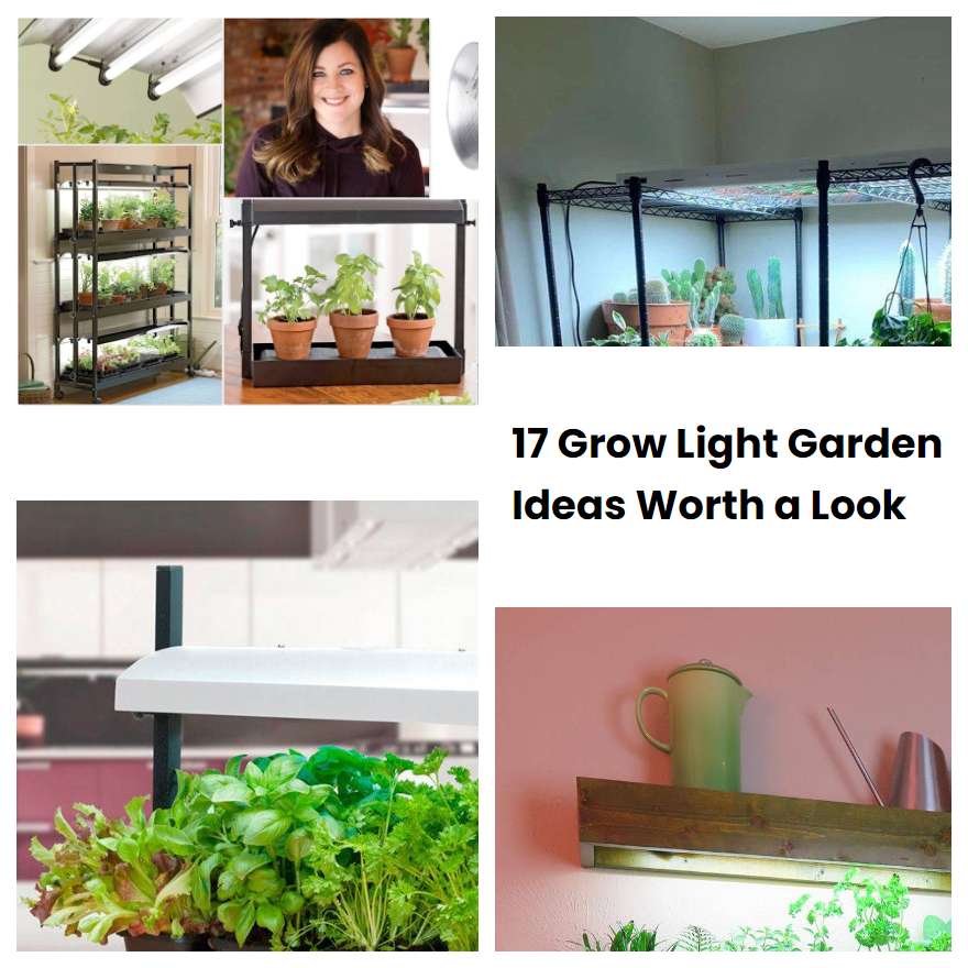17 Grow Light Garden Ideas Worth a Look
