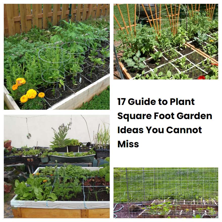 17 Guide to Plant Square Foot Garden Ideas You Cannot Miss SharonSable