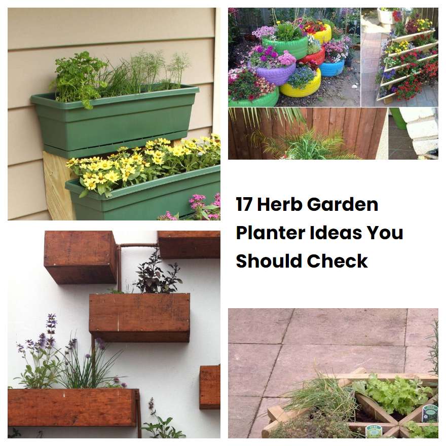 17 Herb Garden Planter Ideas You Should Check SharonSable