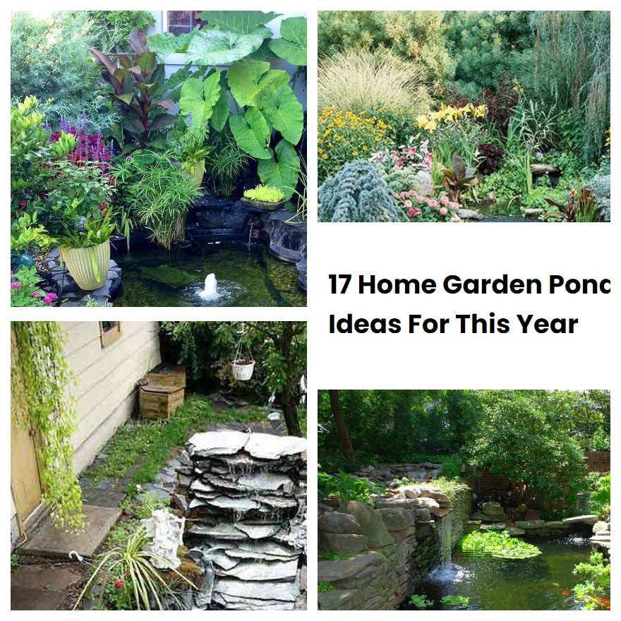 17 Home Garden Pond Ideas For This Year
