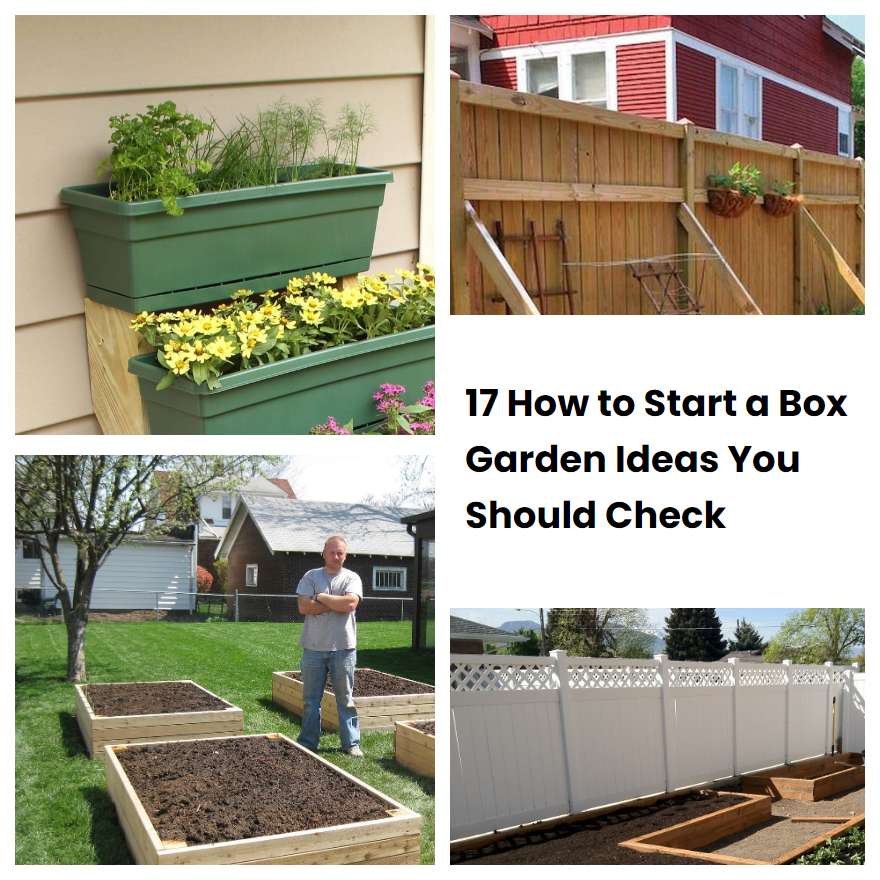 17 How to Start a Box Garden Ideas You Should Check SharonSable