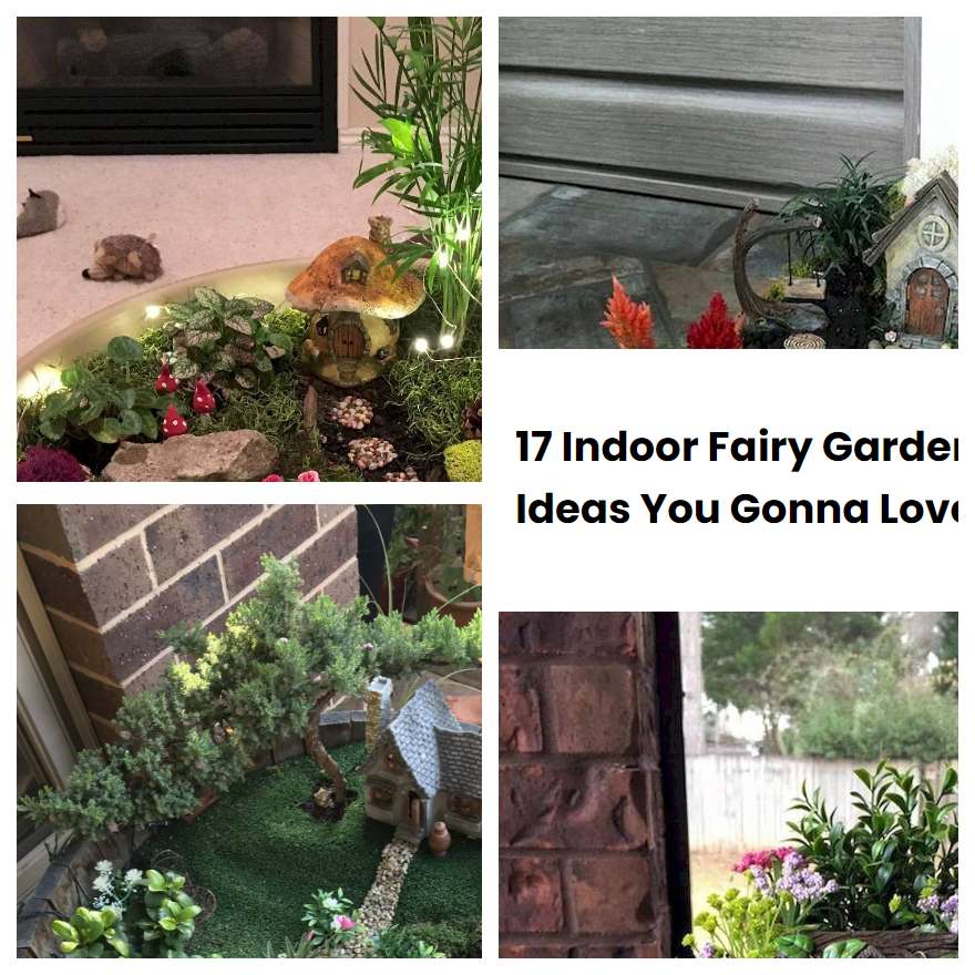 17 Indoor Fairy Garden Ideas You Gonna Love