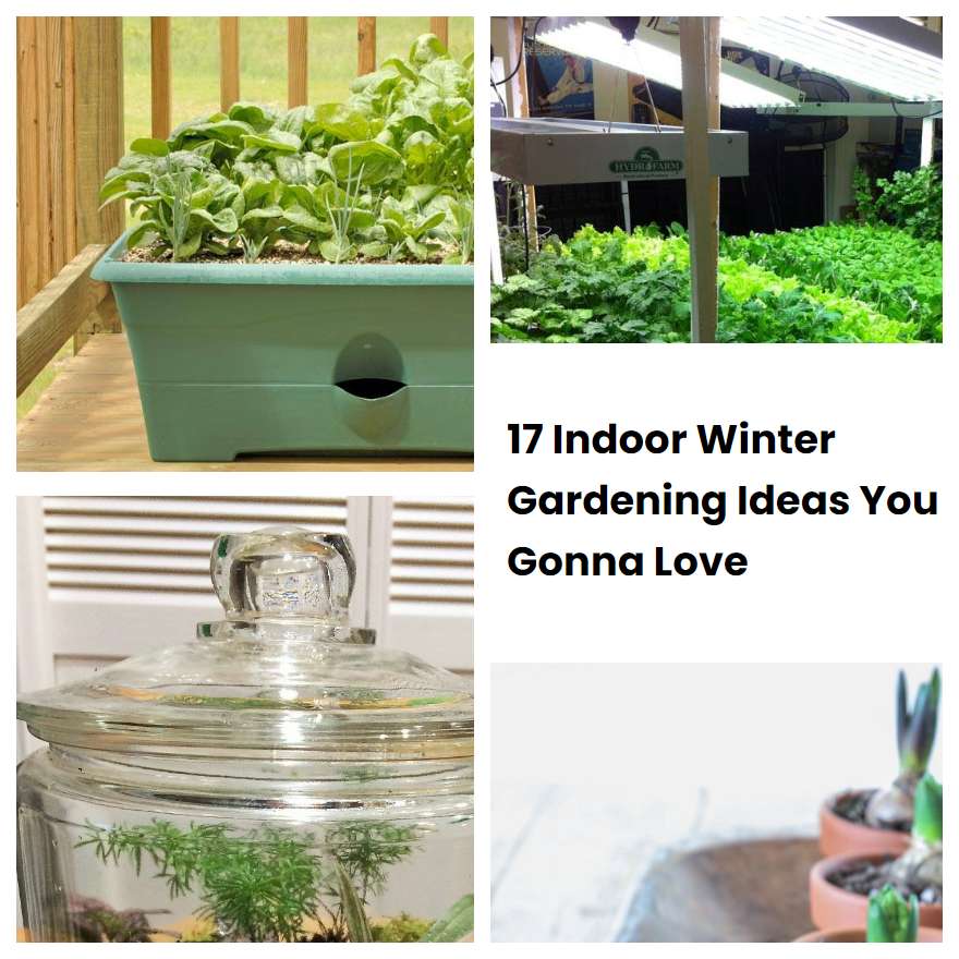 17 Indoor Winter Gardening Ideas You Gonna Love