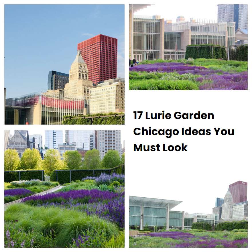 17 Lurie Garden Chicago Ideas You Must Look