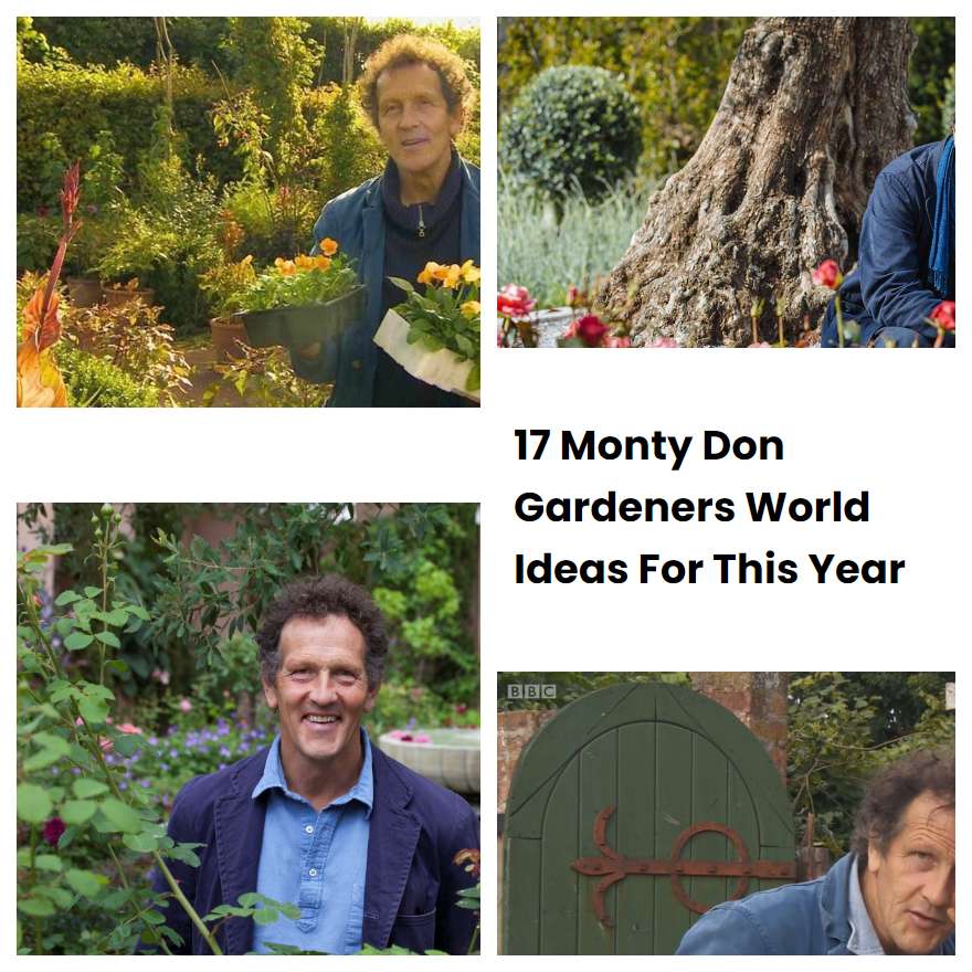 17 Monty Don Gardeners World Ideas For This Year SharonSable