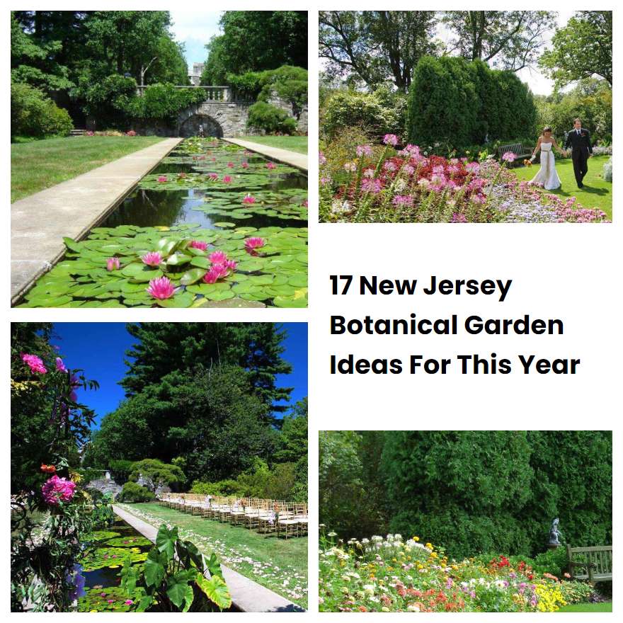 17 New Jersey Botanical Garden Ideas For This Year