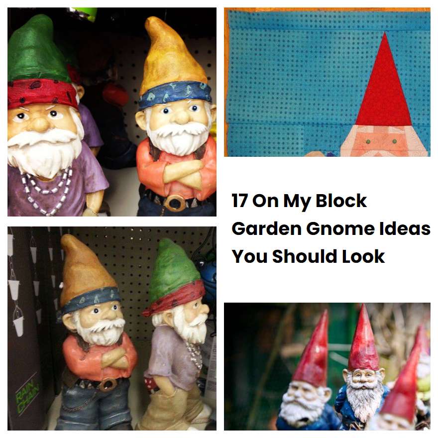 17 On My Block Garden Gnome Ideas You Should Look