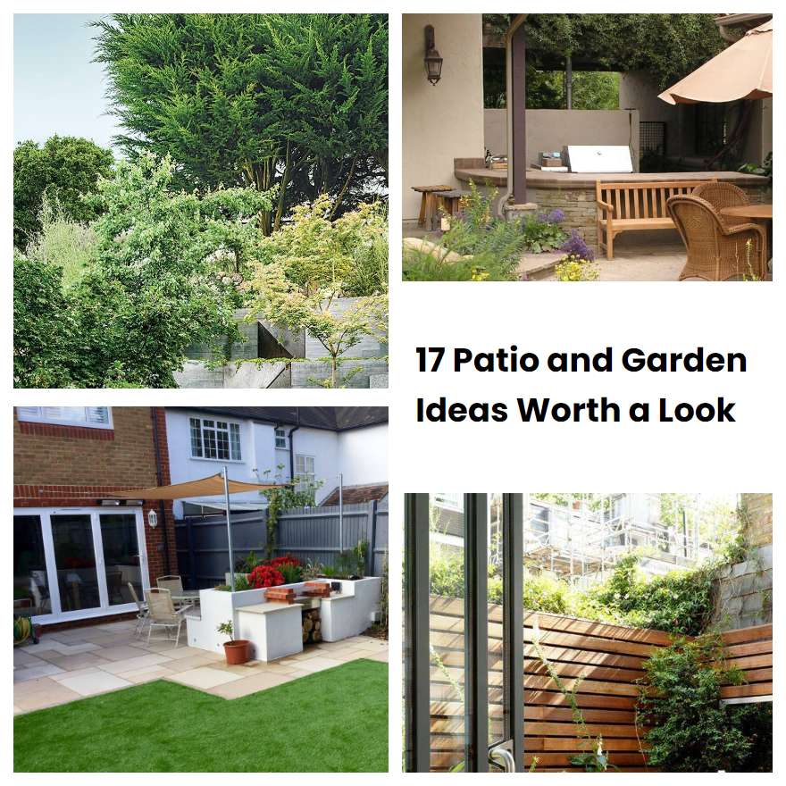 17 Patio and Garden Ideas Worth a Look