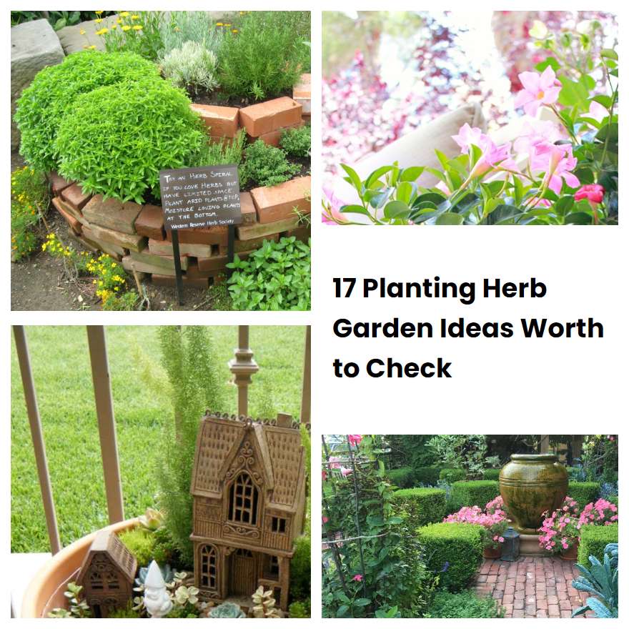 17 Planting Herb Garden Ideas Worth to Check