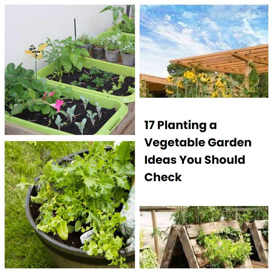 17 Planting a Vegetable Garden Ideas You Should Check