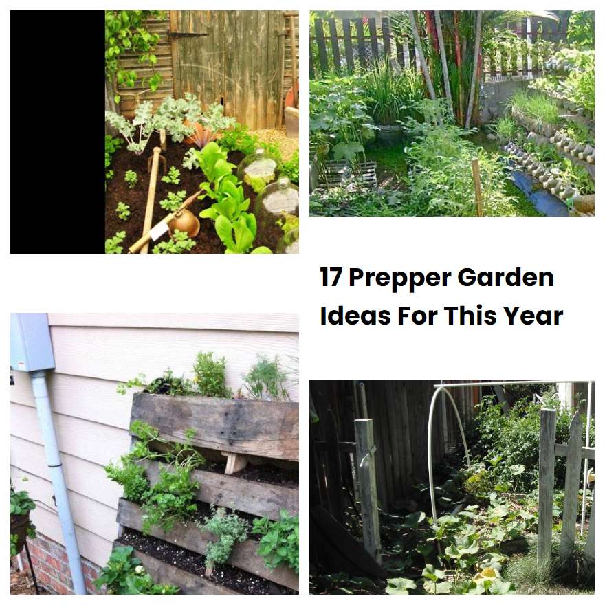 17 Prepper Garden Ideas For This Year