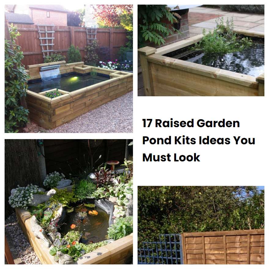 17 Raised Garden Pond Kits Ideas You Must Look SharonSable