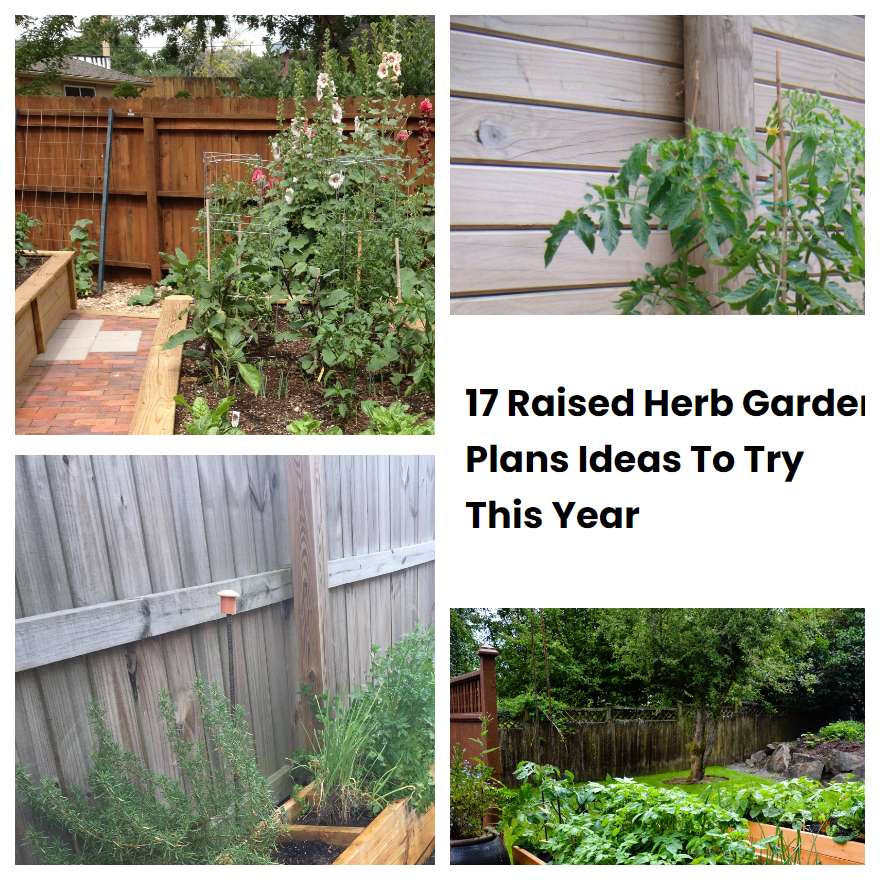 17 Raised Herb Garden Plans Ideas To Try This Year SharonSable