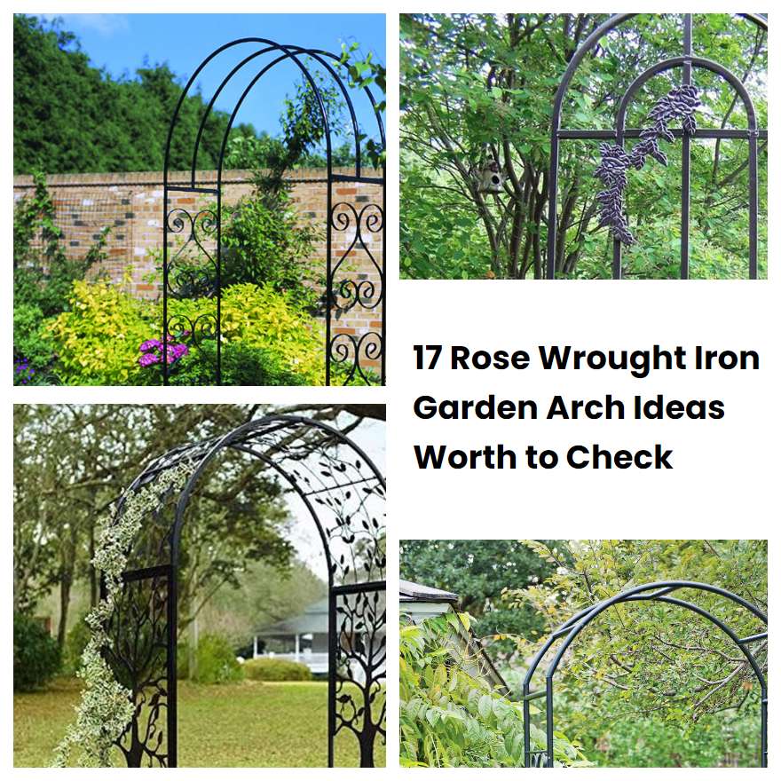 17 Rose Wrought Iron Garden Arch Ideas Worth to Check SharonSable