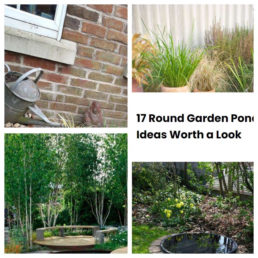 17 Round Garden Pond Ideas Worth a Look