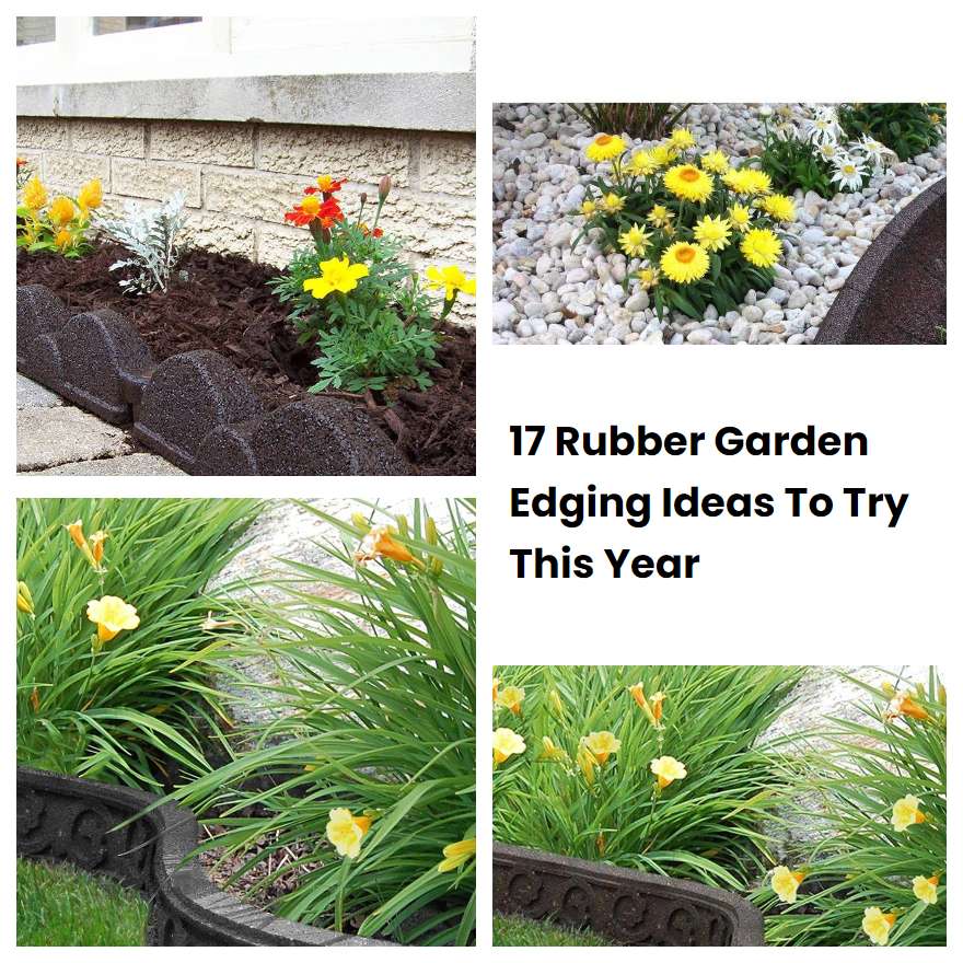 17 Rubber Garden Edging Ideas To Try This Year