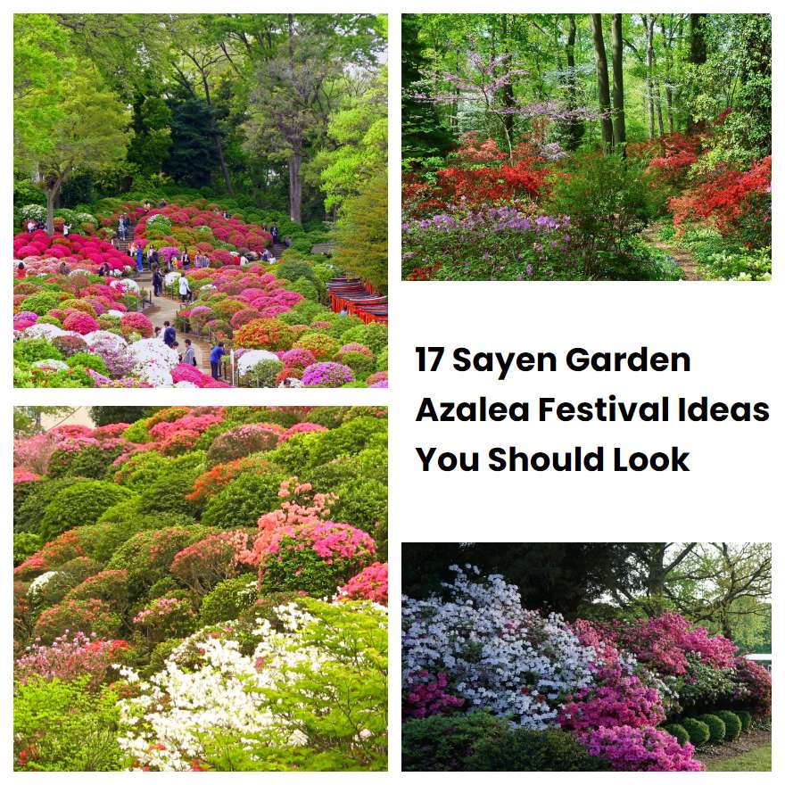 17 Sayen Garden Azalea Festival Ideas You Should Look SharonSable