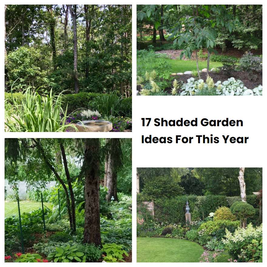 17 Shaded Garden Ideas For This Year