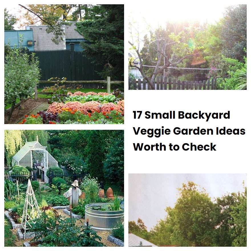 17 Small Backyard Veggie Garden Ideas Worth to Check SharonSable