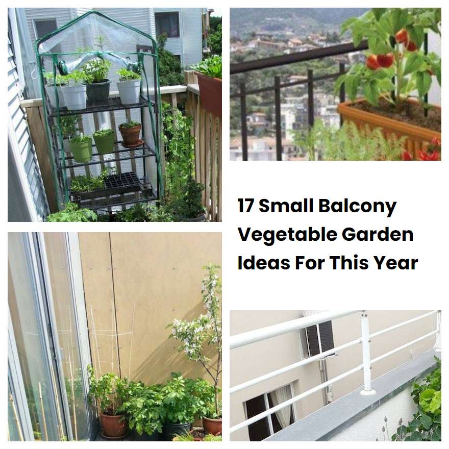 17 Small Balcony Vegetable Garden Ideas For This Year SharonSable