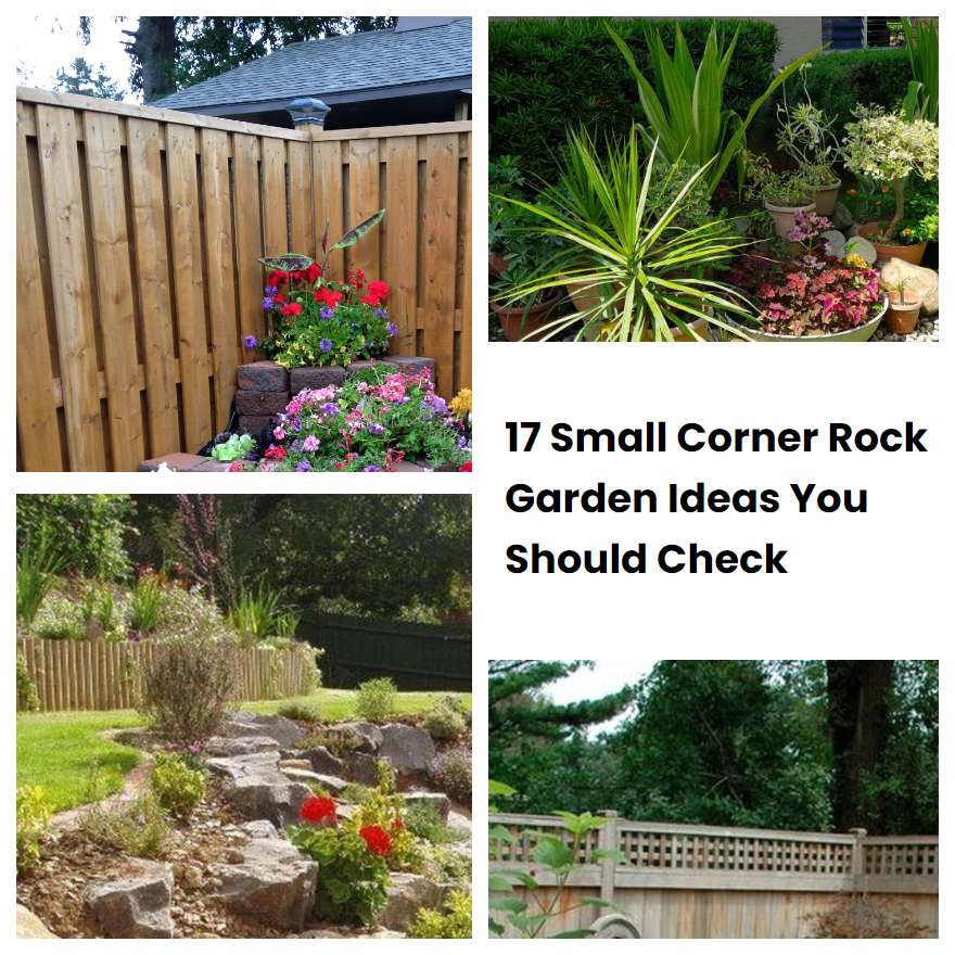 17 Small Corner Rock Garden Ideas You Should Check SharonSable