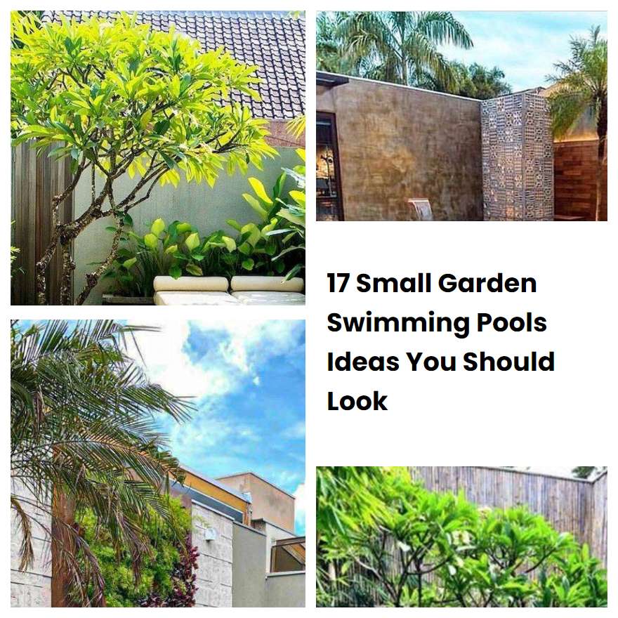 17 Small Garden Swimming Pools Ideas You Should Look