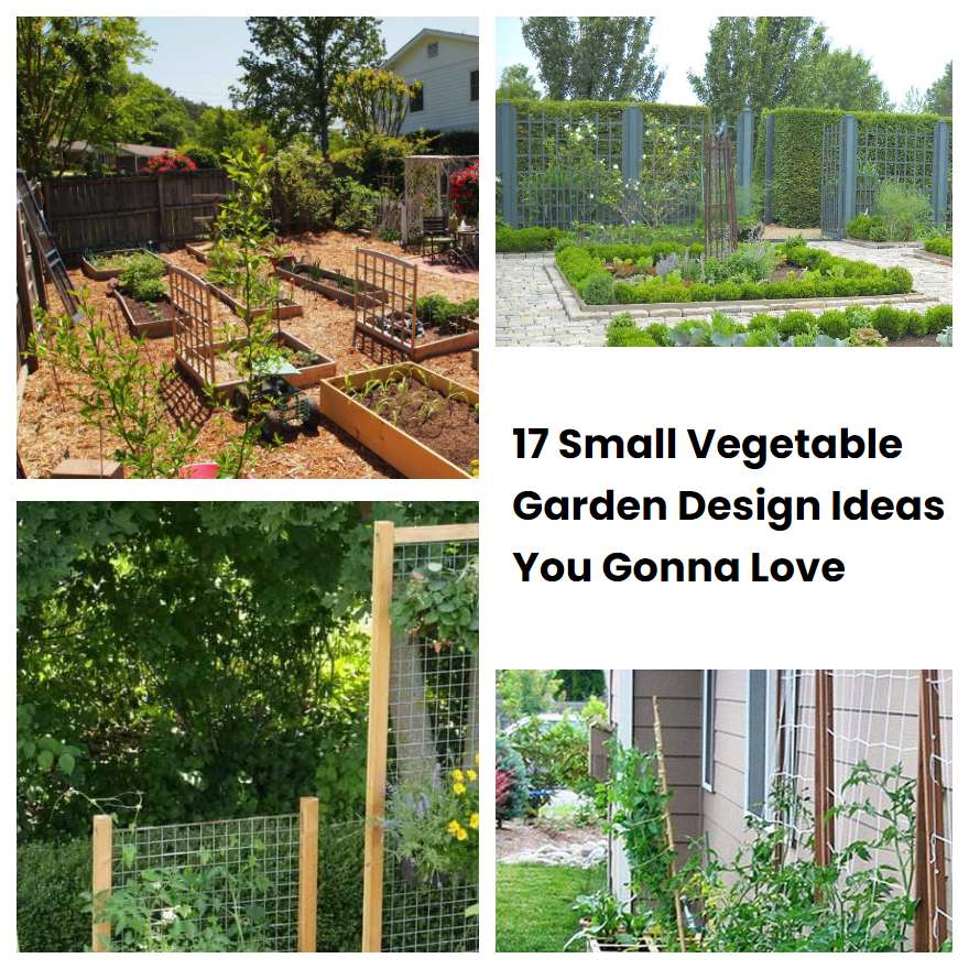 17 Small Vegetable Garden Design Ideas You Gonna Love