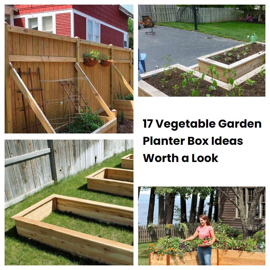 17 Vegetable Garden Planter Box Ideas Worth a Look