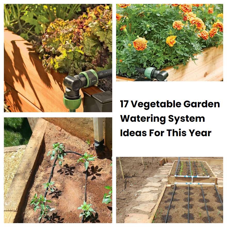 17 Vegetable Garden Watering System Ideas For This Year