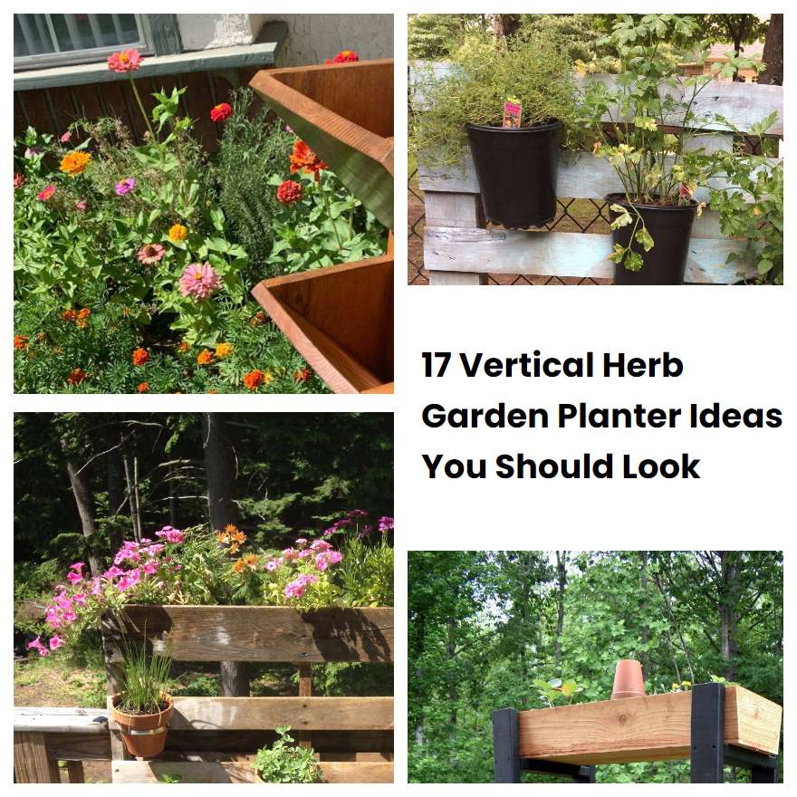 17 Vertical Herb Garden Planter Ideas You Should Look SharonSable