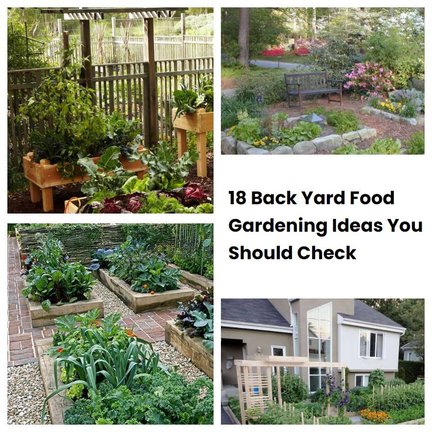 18 Back Yard Food Gardening Ideas You Should Check SharonSable