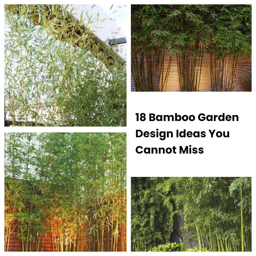 18 Bamboo Garden Design Ideas You Cannot Miss SharonSable