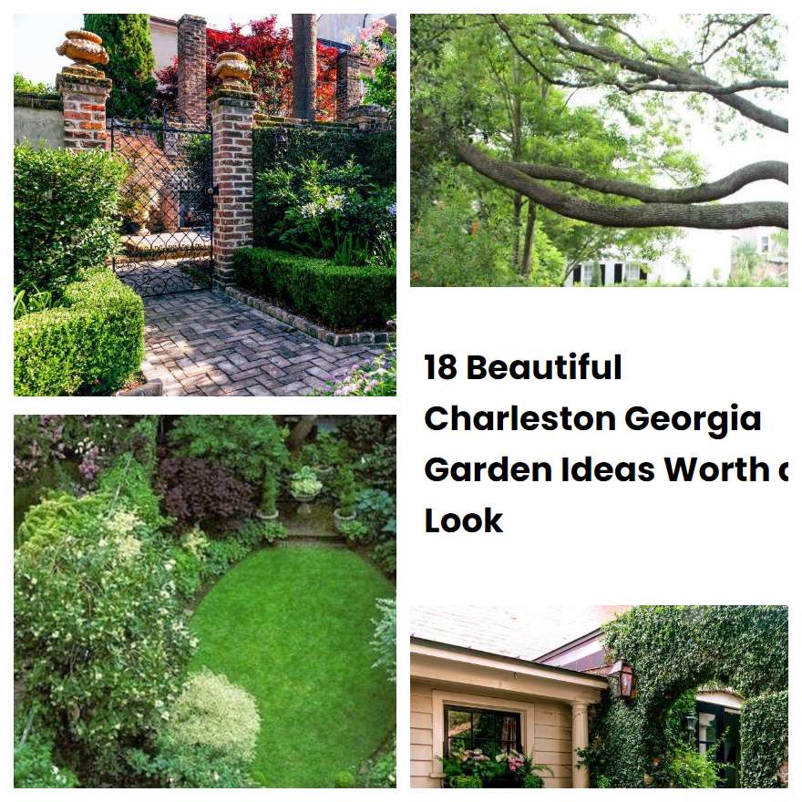 18 Beautiful Charleston Georgia Garden Ideas Worth a Look