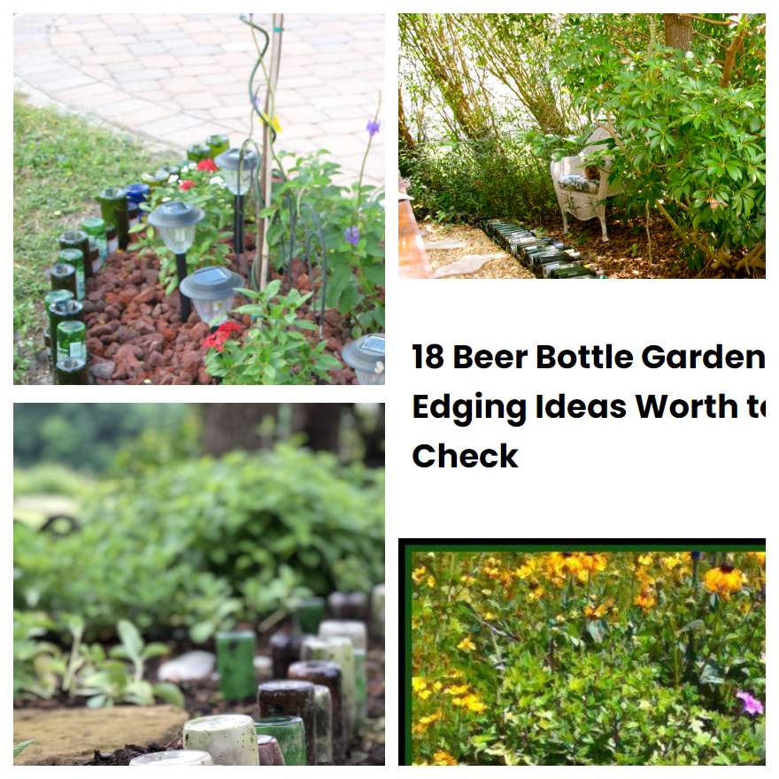 18 Beer Bottle Garden Edging Ideas Worth to Check SharonSable