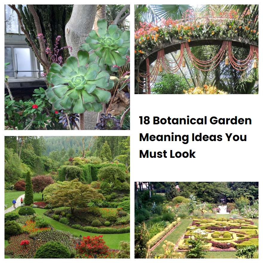 18 Botanical Garden Meaning Ideas You Must Look