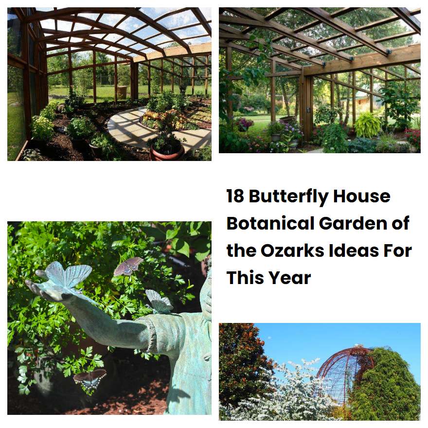 18 Butterfly House Botanical Garden of the Ozarks Ideas For This Year