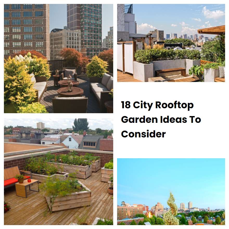 18 City Rooftop Garden Ideas To Consider SharonSable