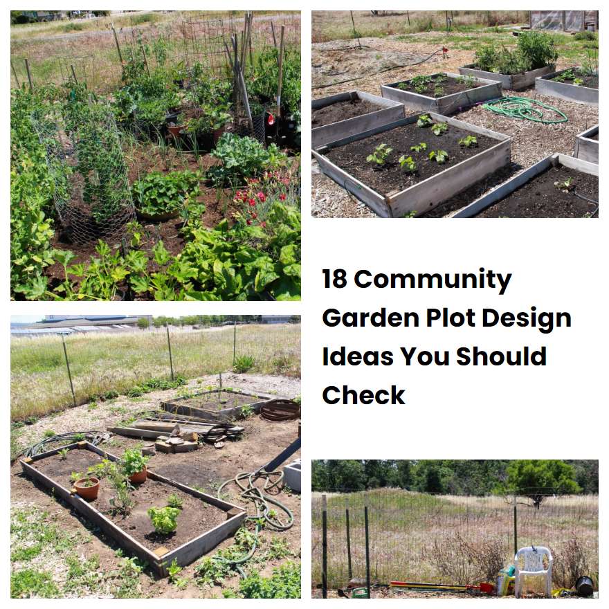 18 Community Garden Plot Design Ideas You Should Check SharonSable