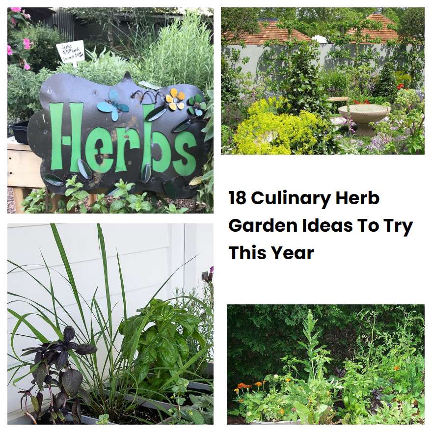 18 Culinary Herb Garden Ideas To Try This Year