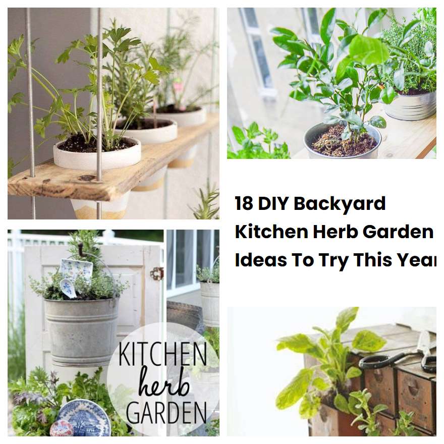 18 DIY Backyard Kitchen Herb Garden Ideas To Try This Year