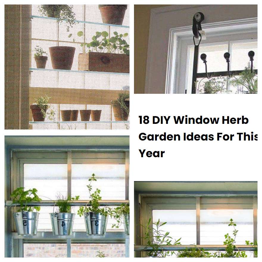 18 DIY Window Herb Garden Ideas For This Year