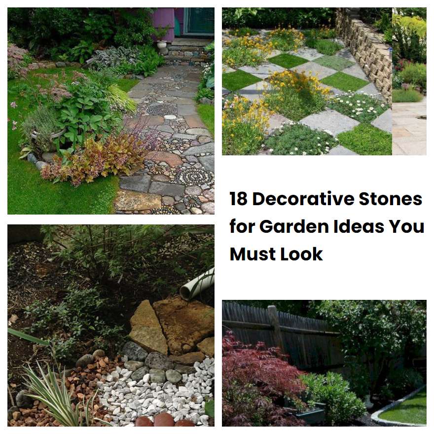 18 Decorative Stones for Garden Ideas You Must Look SharonSable