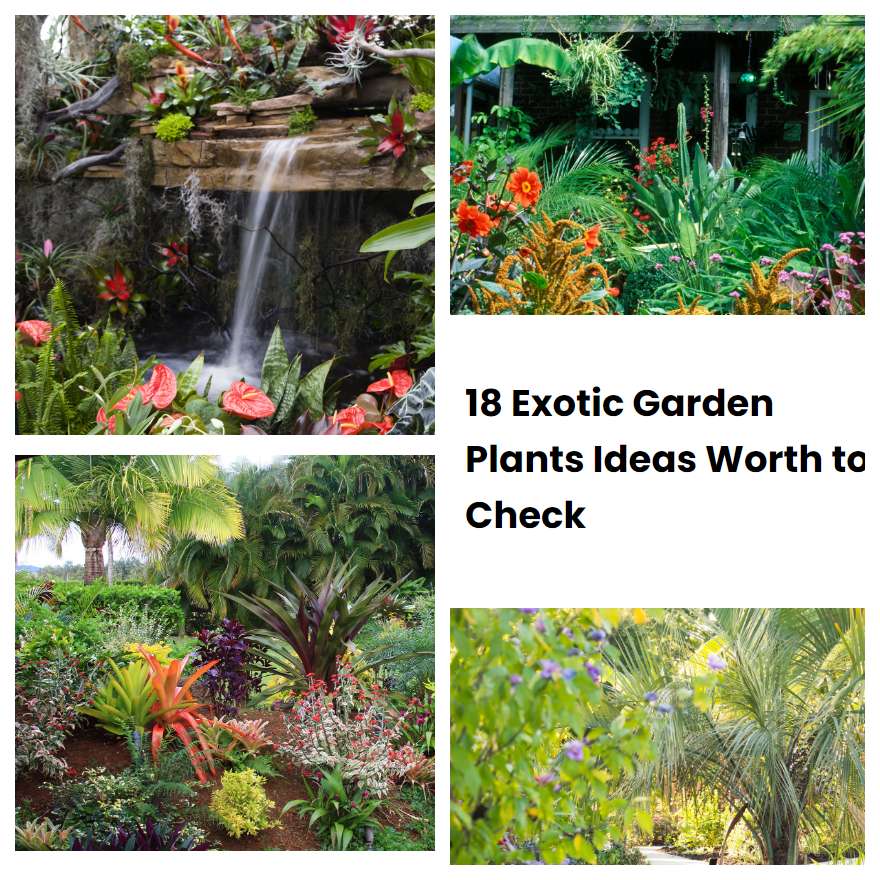18 Exotic Garden Plants Ideas Worth to Check SharonSable