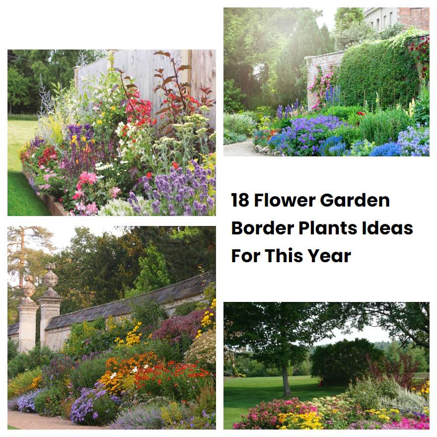 18 Flower Garden Border Plants Ideas For This Year