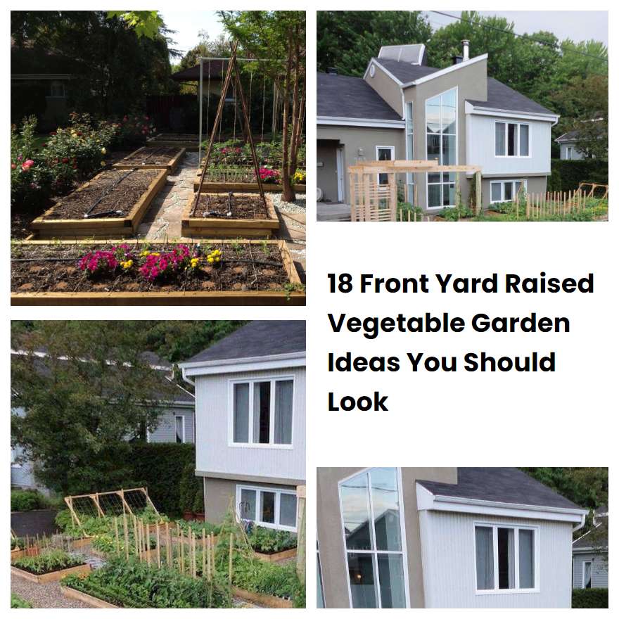 18 Front Yard Raised Vegetable Garden Ideas You Should Look SharonSable