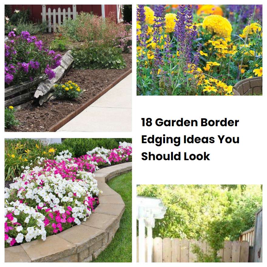 18 Garden Border Edging Ideas You Should Look
